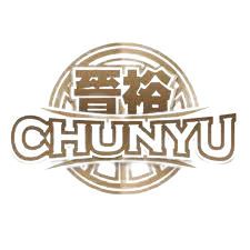 美洲队